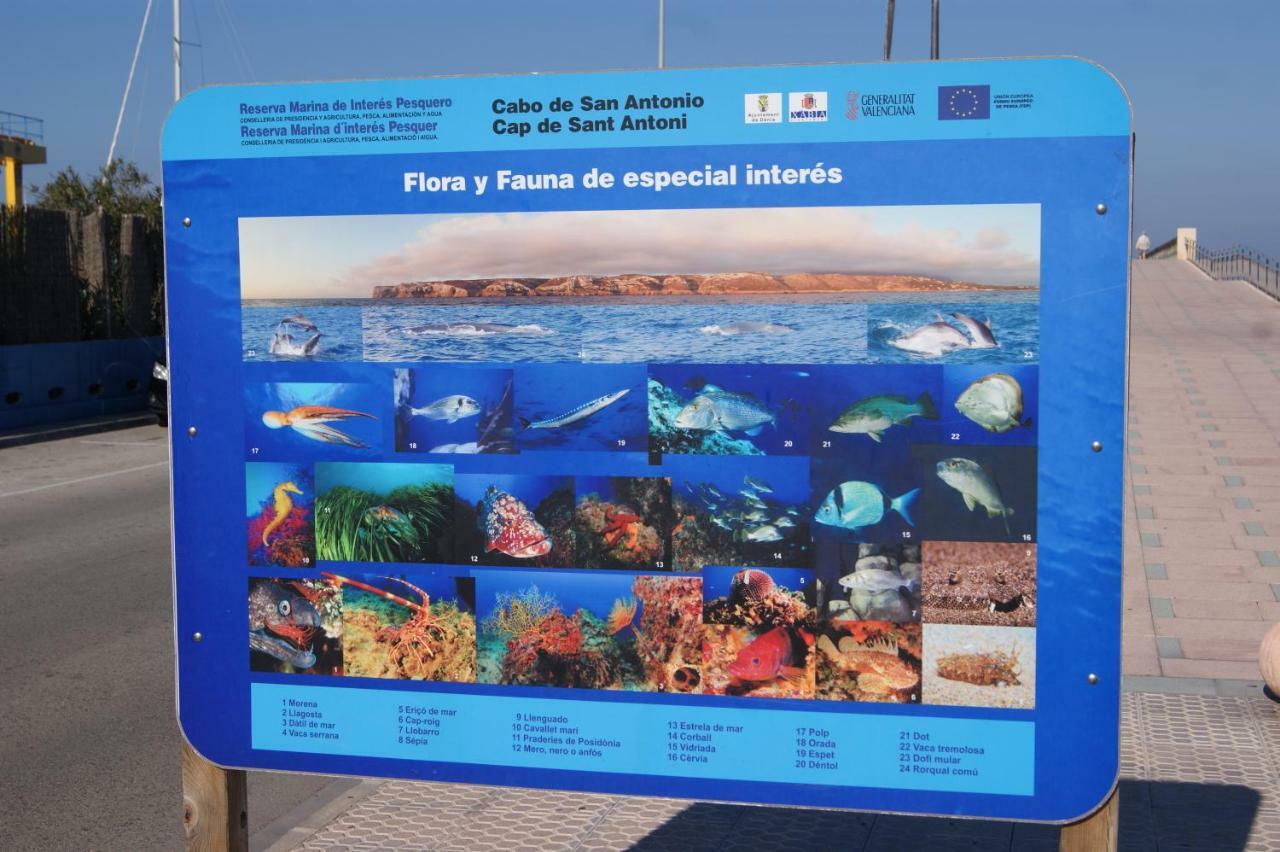 Apartamento Las Marinas II En Denia Zewnętrze zdjęcie